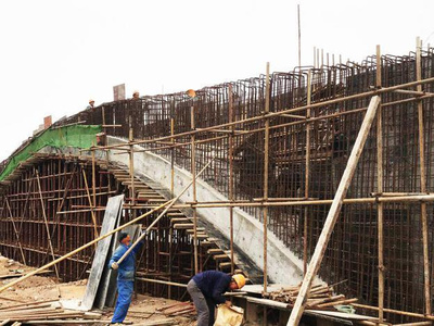 东湖绿道二期湖泽道五桥主体落成，再添城市生态新廊道